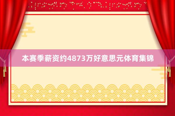 本赛季薪资约4873万好意思元体育集锦