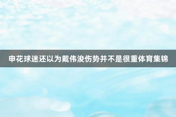 申花球迷还以为戴伟浚伤势并不是很重体育集锦