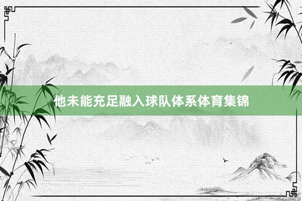 他未能充足融入球队体系体育集锦