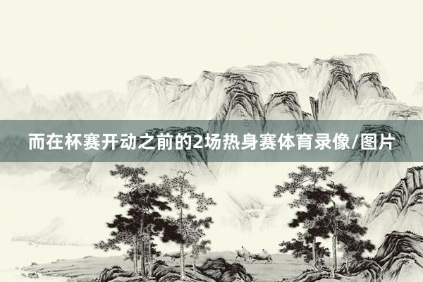 而在杯赛开动之前的2场热身赛体育录像/图片