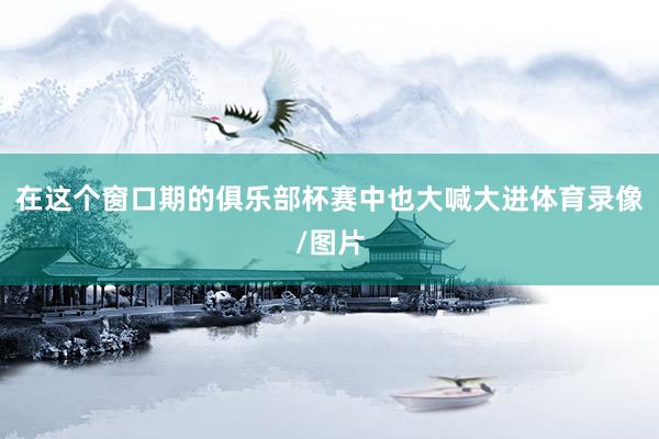 在这个窗口期的俱乐部杯赛中也大喊大进体育录像/图片