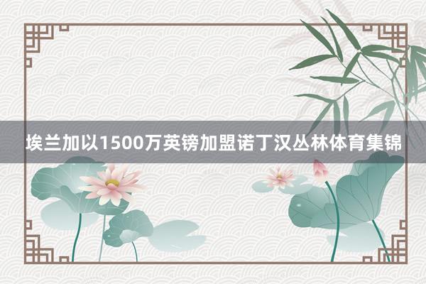 埃兰加以1500万英镑加盟诺丁汉丛林体育集锦