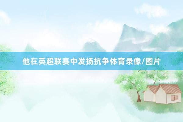 他在英超联赛中发扬抗争体育录像/图片