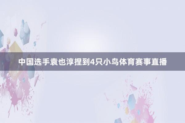 中国选手袁也淳捏到4只小鸟体育赛事直播