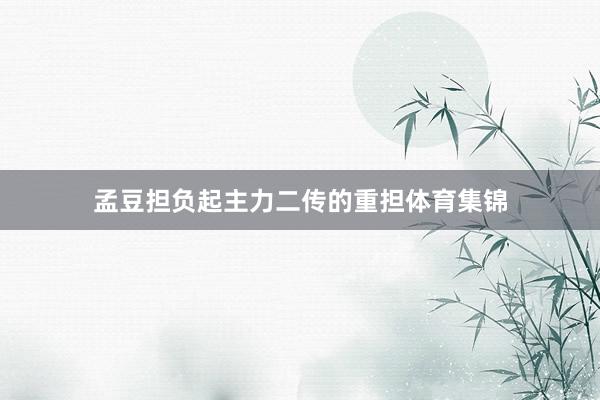 孟豆担负起主力二传的重担体育集锦