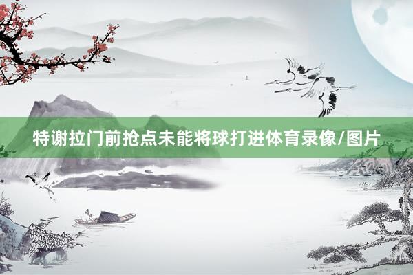 特谢拉门前抢点未能将球打进体育录像/图片