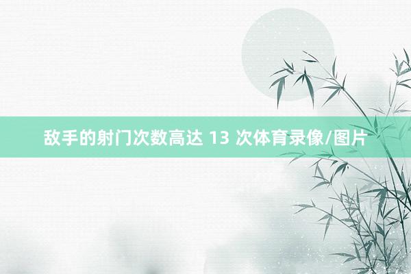 敌手的射门次数高达 13 次体育录像/图片