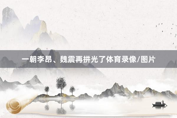 一朝李昂、魏震再拼光了体育录像/图片