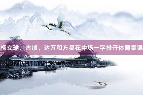 杨立瑜、古加、达万和方昊在中场一字排开体育集锦