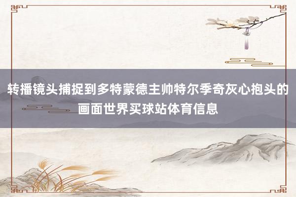 转播镜头捕捉到多特蒙德主帅特尔季奇灰心抱头的画面世界买球站体育信息