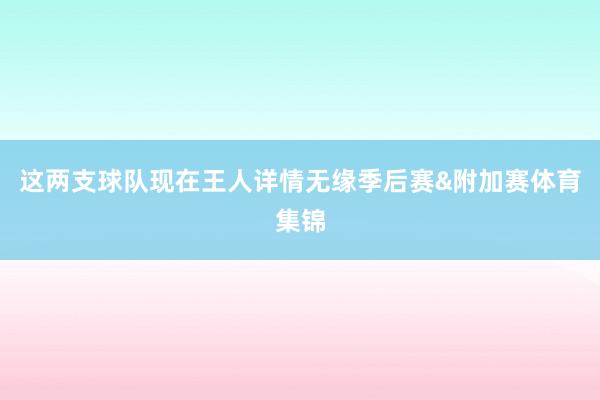 这两支球队现在王人详情无缘季后赛&附加赛体育集锦