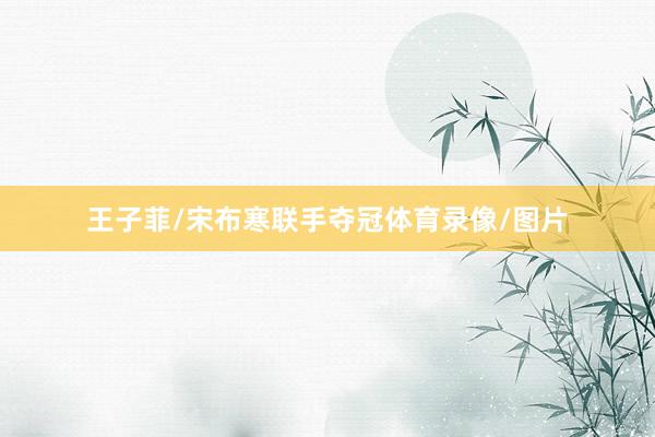 王子菲/宋布寒联手夺冠体育录像/图片