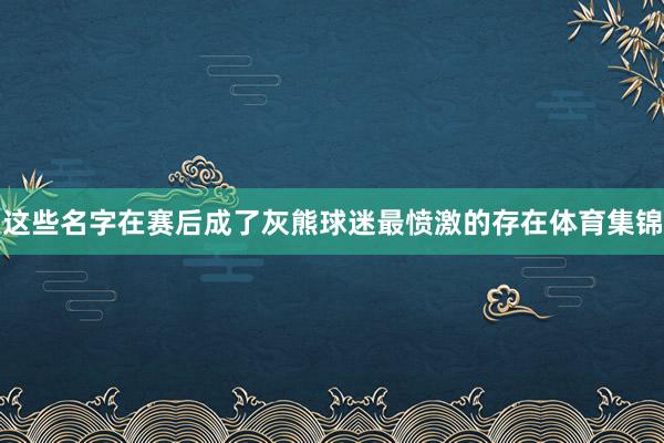 这些名字在赛后成了灰熊球迷最愤激的存在体育集锦