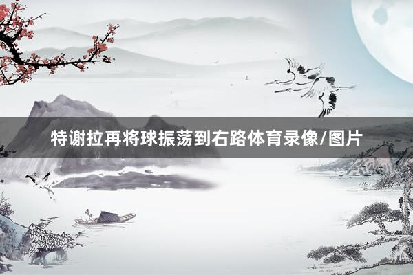 特谢拉再将球振荡到右路体育录像/图片