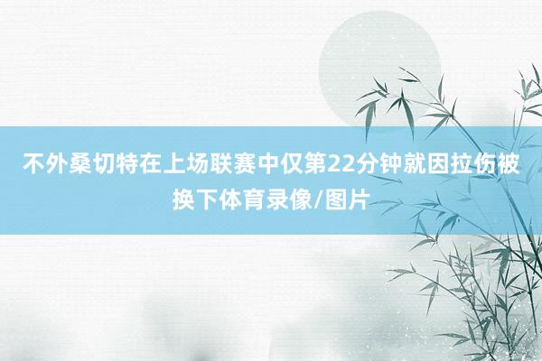 不外桑切特在上场联赛中仅第22分钟就因拉伤被换下体育录像/图片