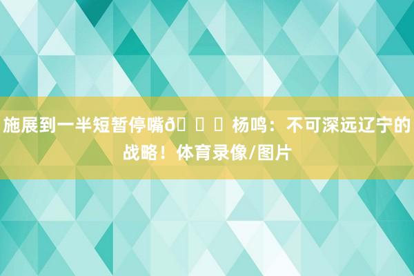 施展到一半短暂停嘴😅杨鸣：不可深远辽宁的战略！体育录像/图片