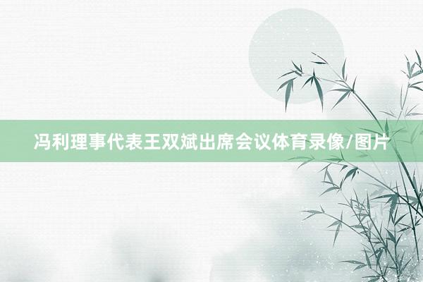 冯利理事代表王双斌出席会议体育录像/图片