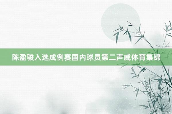 陈盈骏入选成例赛国内球员第二声威体育集锦