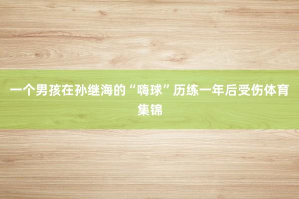 一个男孩在孙继海的“嗨球”历练一年后受伤体育集锦