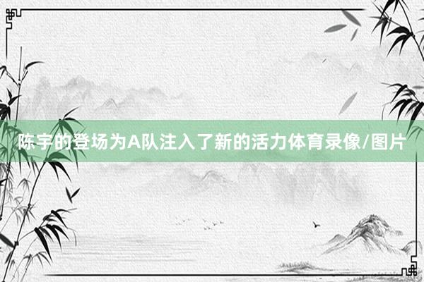 陈宇的登场为A队注入了新的活力体育录像/图片