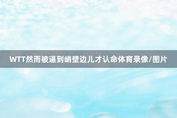 WTT然而被逼到峭壁边儿才认命体育录像/图片