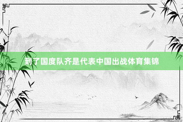 到了国度队齐是代表中国出战体育集锦