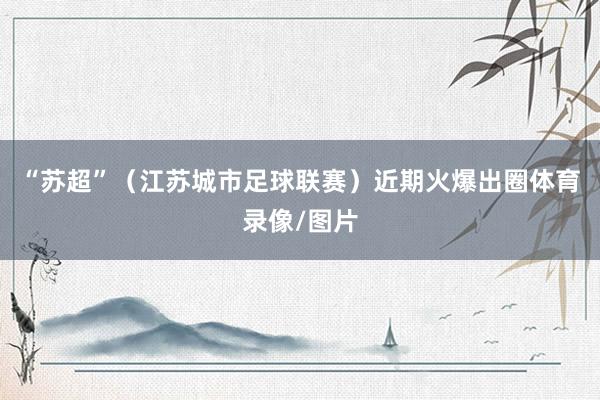 “苏超”（江苏城市足球联赛）近期火爆出圈体育录像/图片