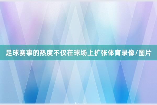 足球赛事的热度不仅在球场上扩张体育录像/图片