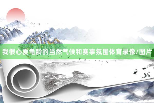 我很心爱龟龄的当然气候和赛事氛围体育录像/图片