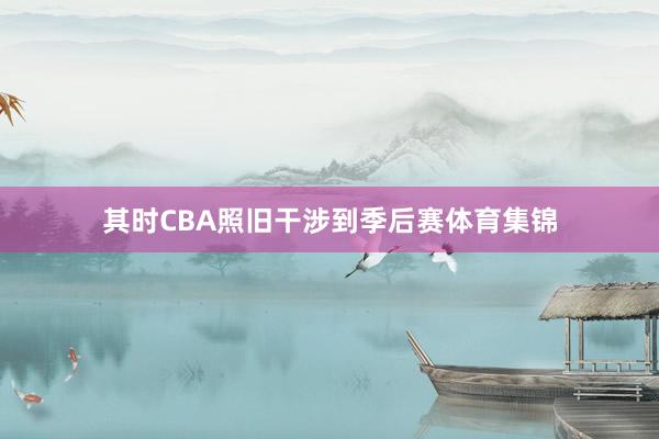 其时CBA照旧干涉到季后赛体育集锦
