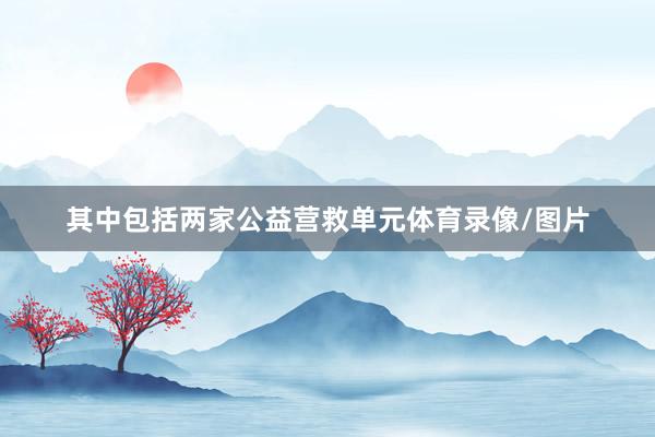 其中包括两家公益营救单元体育录像/图片