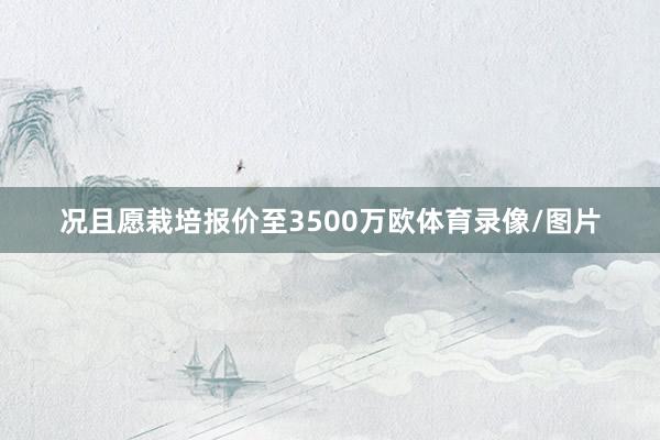 况且愿栽培报价至3500万欧体育录像/图片