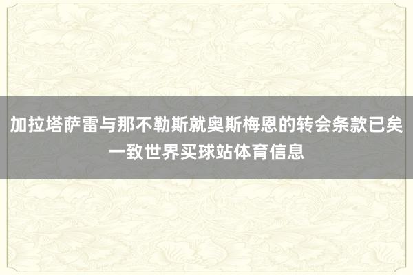 加拉塔萨雷与那不勒斯就奥斯梅恩的转会条款已矣一致世界买球站体育信息