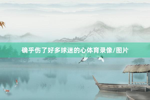 确乎伤了好多球迷的心体育录像/图片