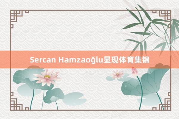 Sercan Hamzaoğlu显现体育集锦