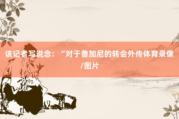 该记者写说念：“对于鲁加尼的转会外传体育录像/图片