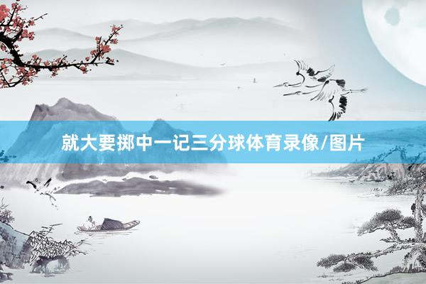 就大要掷中一记三分球体育录像/图片