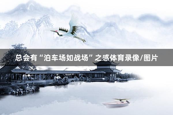 总会有“泊车场如战场”之感体育录像/图片