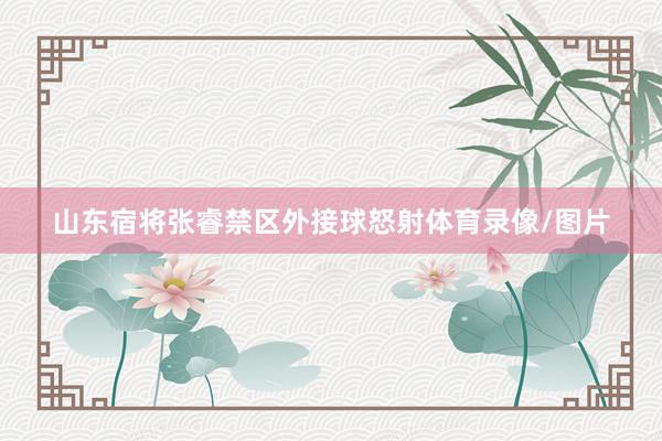 山东宿将张睿禁区外接球怒射体育录像/图片