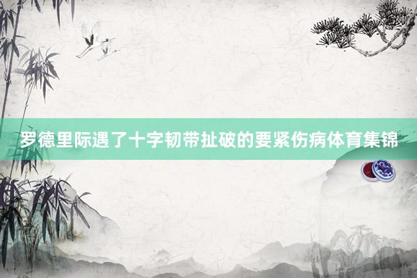 罗德里际遇了十字韧带扯破的要紧伤病体育集锦