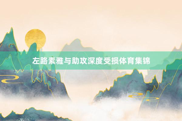 左路素雅与助攻深度受损体育集锦