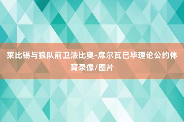 莱比锡与狼队前卫法比奥-席尔瓦已毕理论公约体育录像/图片