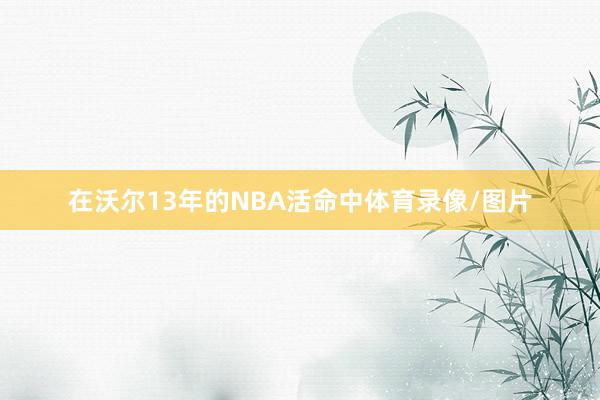 在沃尔13年的NBA活命中体育录像/图片