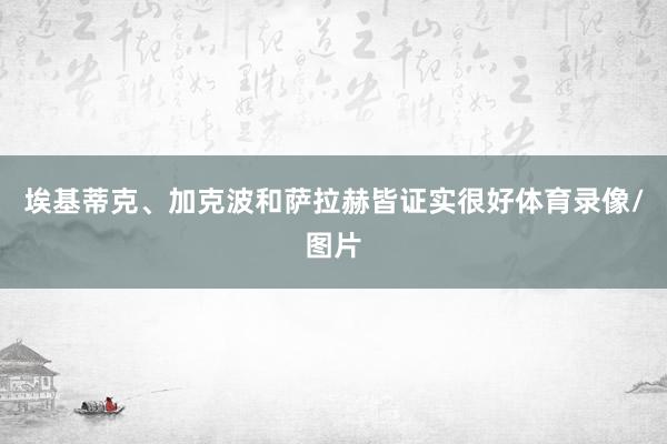 埃基蒂克、加克波和萨拉赫皆证实很好体育录像/图片