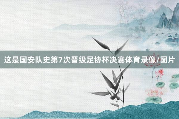 这是国安队史第7次晋级足协杯决赛体育录像/图片
