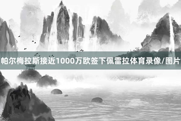 帕尔梅拉斯接近1000万欧签下佩雷拉体育录像/图片