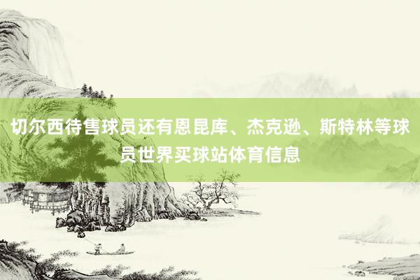 切尔西待售球员还有恩昆库、杰克逊、斯特林等球员世界买球站体育信息