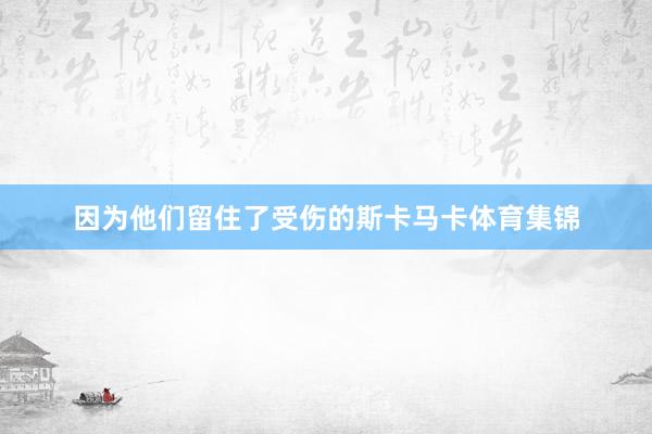因为他们留住了受伤的斯卡马卡体育集锦