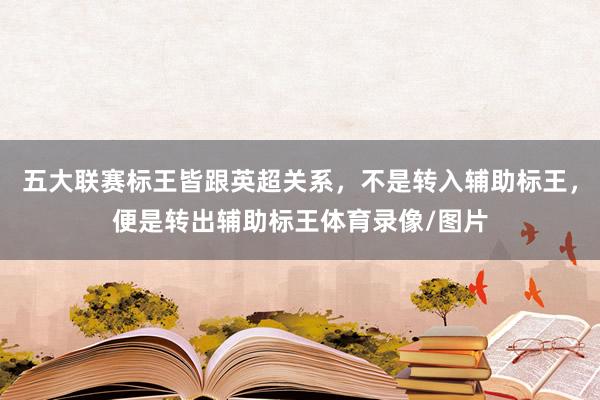 五大联赛标王皆跟英超关系，不是转入辅助标王，便是转出辅助标王体育录像/图片