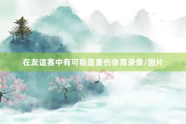 在友谊赛中有可能是重伤体育录像/图片